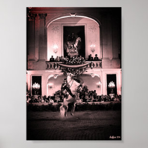 Poster Vintage Autriche Vienne Courbette Espagnole