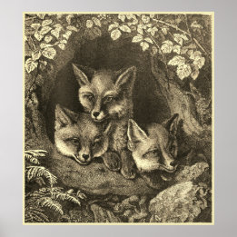 Poster Vintage baby fox woodland