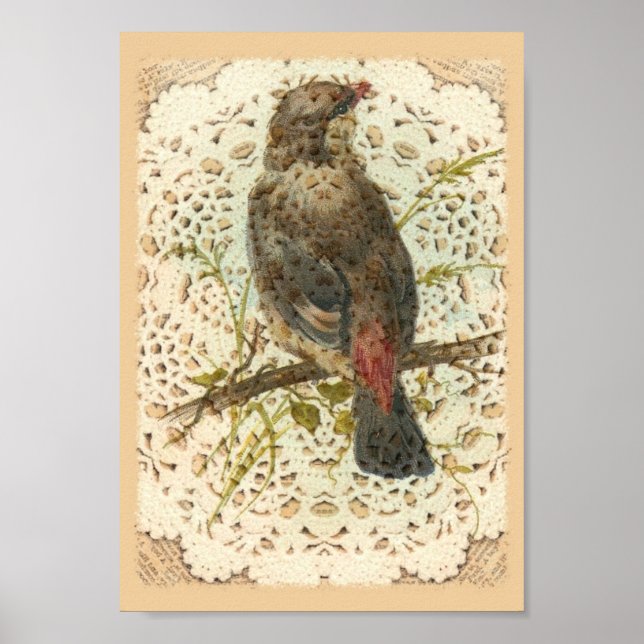 Poster Vintage Bird and Doilie (Devant)