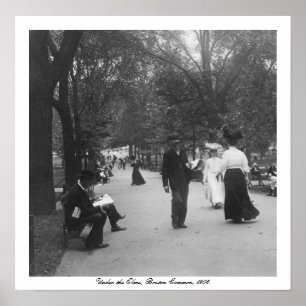 Poster Vintage Boston Common, Under the Elms, USA
