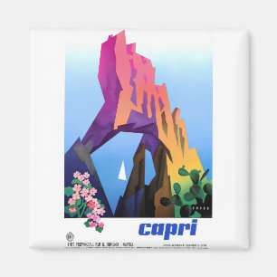 Poster Vintage Capri Magnet
