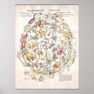 Poster Vintage Celestial Map