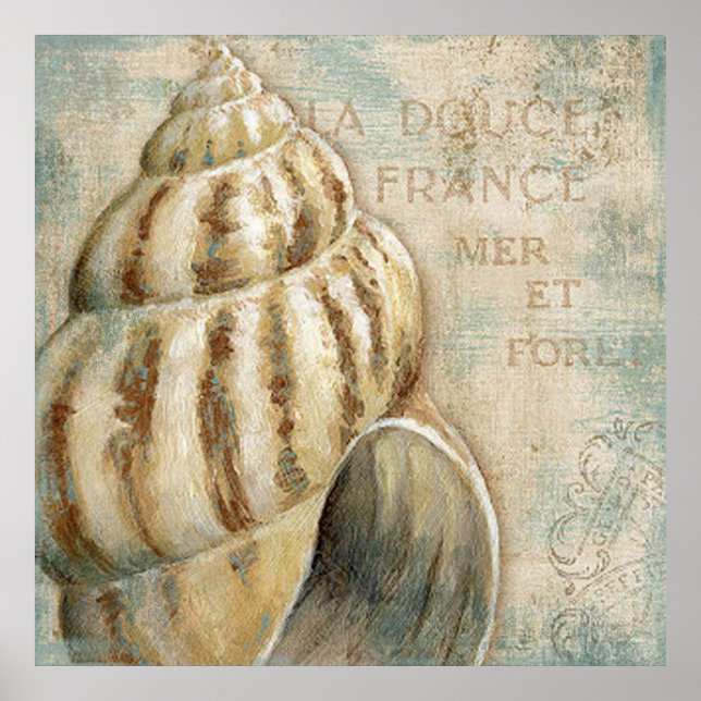 Poster Vintage Conch Shell (Devant)