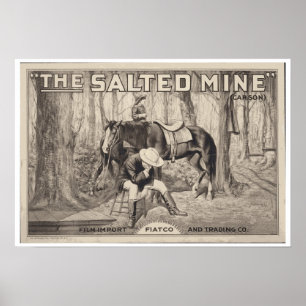 Poster ~ VINTAGE d'AFFICHE de FILM la mine salée