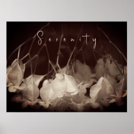 Poster vintage de fleurs blanches