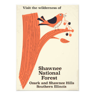 Poster vintage de l'Illinois de la Forêt nationale