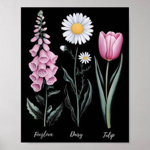 Poster Vintage Floral Plante Foxglove Daisy Tulip Flower 