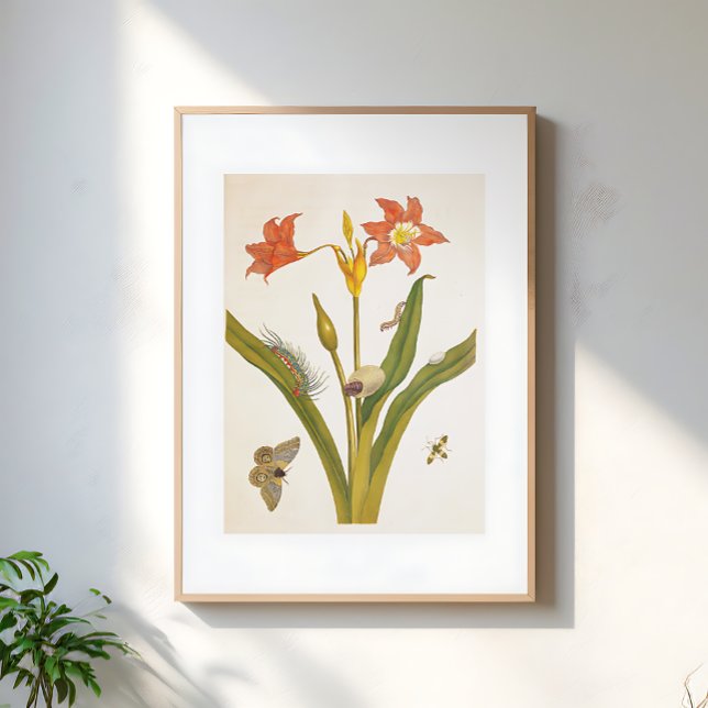 Poster Vintage Flower Plant Botanical Illustration (Créateur téléchargé)