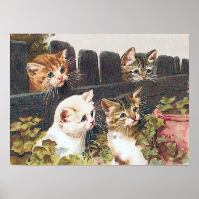 Poster vintage "Four Kittens" (Devant)