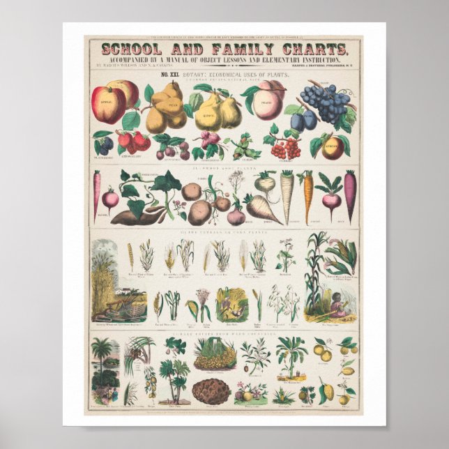 poster vintage Fruit d'art familial (Devant)