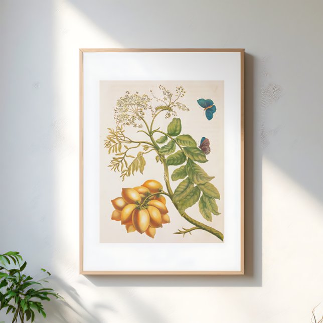 Poster Vintage Fruit Plant With Butterflies Art (Créateur téléchargé)