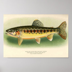 Poster Vintage Golden Truth Art