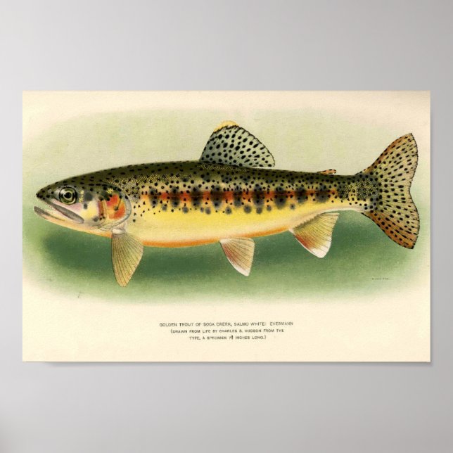 Poster Vintage Golden Truth Art (Devant)