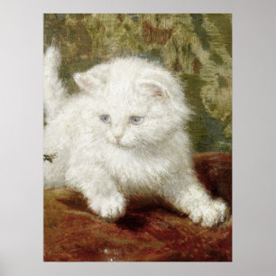 Poster Vintage Henriette Ronner-Knip Curiousity
