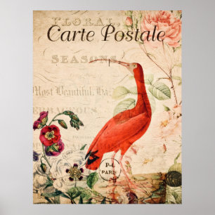 Poster vintage Ibis Oiseau Floral
