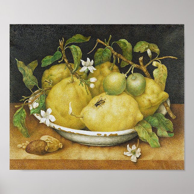 Poster Vintage Lemon Still Life (Devant)