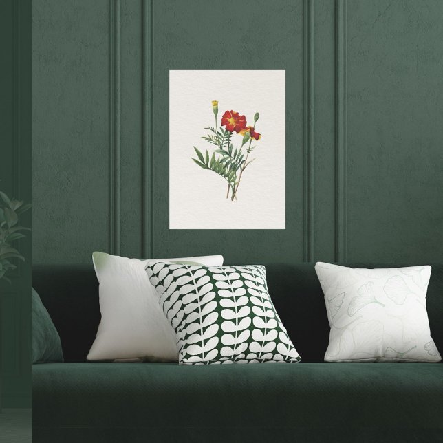 Poster Vintage look Botanique Marigolds (Créateur téléchargé)