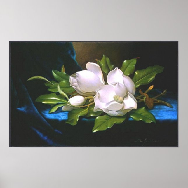 Poster Vintage Magnolia (vers 1890) Imprimer (Devant)