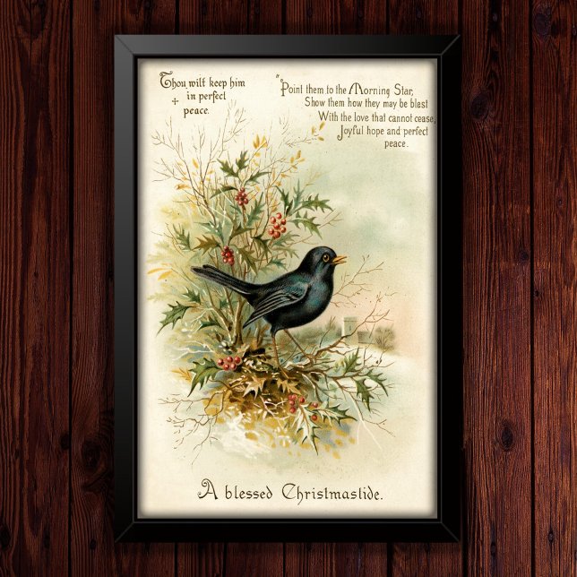 Poster Vintage Noël Blackbird 1908 (Créateur téléchargé)