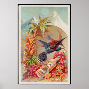 Poster Vintage oiseaux tropicaux Floride Water Annonce
