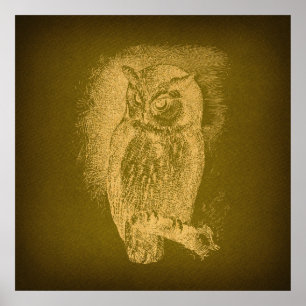 Poster Vintage Owl Illustration Antique Bird Art Green