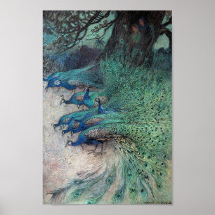Poster Vintage Peacock Book Illustration