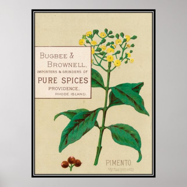 Poster Vintage : publicité alimentaire - (Devant)