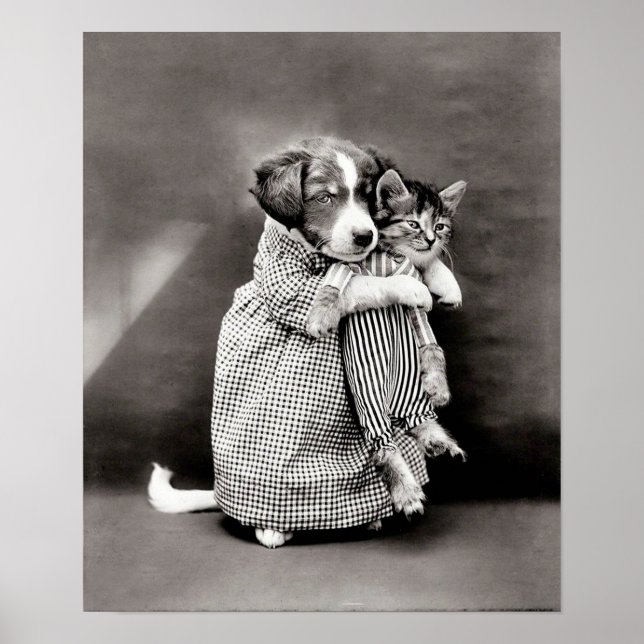 Poster vintage Puppy et Kitten (Devant)