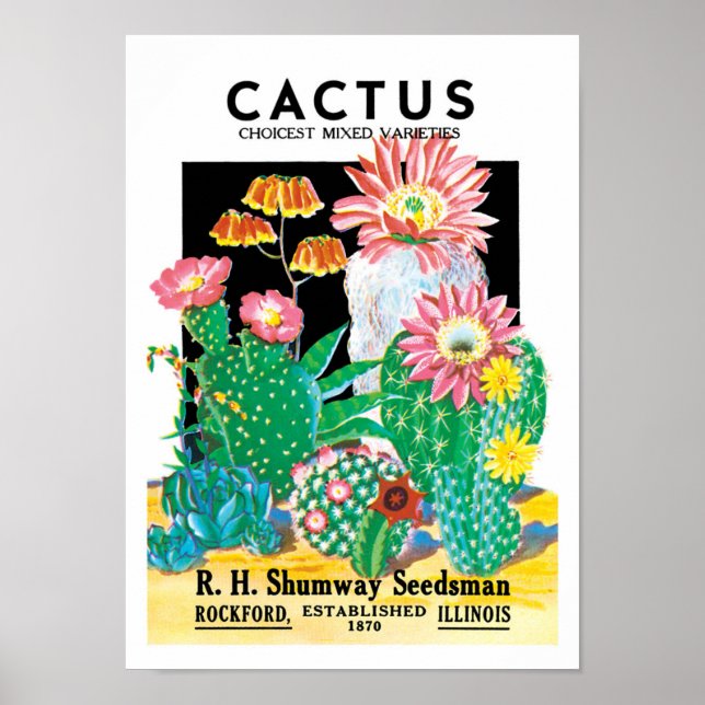 Poster Vintage Seed Packet Étiquette Art Desert Cactus Pl (Devant)