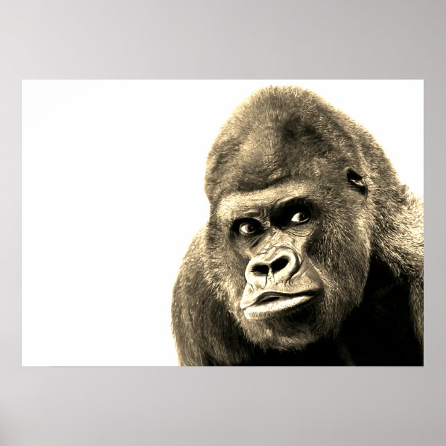 Poster Vintage Sepia Gorilla (Devant)