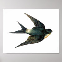 Vintage Vapeur Oiseau Antique Épervier Art