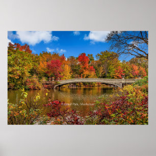 Poster virginia5050