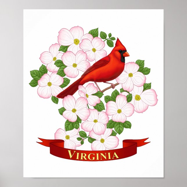 Poster Virginie State Cardinal Bird and Dogwood Flower (Devant)