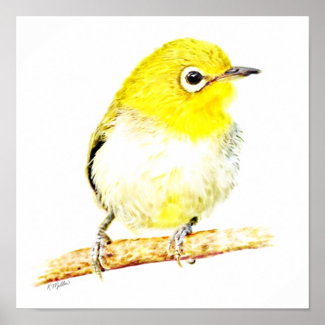 Poster Viro jaune (Devant)