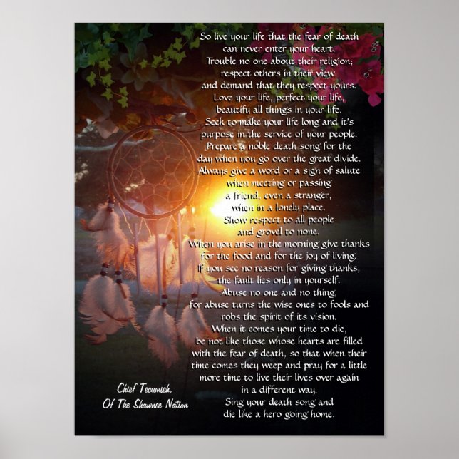 Poster "Vis ta vie" coucher de soleil de Tecumseh Dreamca (Devant)