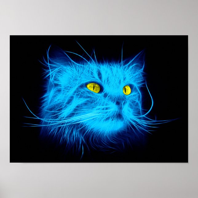 Poster Visage de chat bleu (Devant)