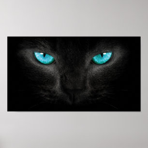 Poster Visage de chat noir aux yeux Turquoise