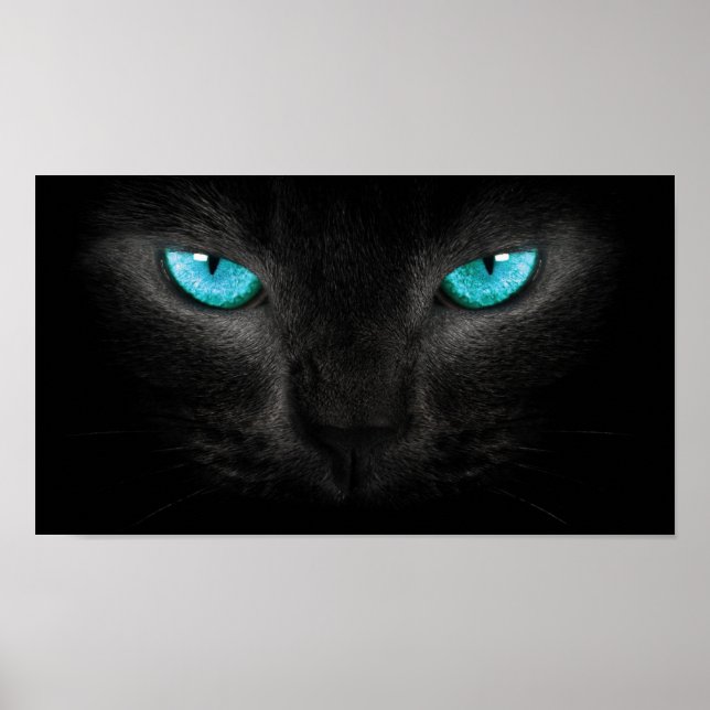 Poster Visage de chat noir aux yeux Turquoise (Devant)