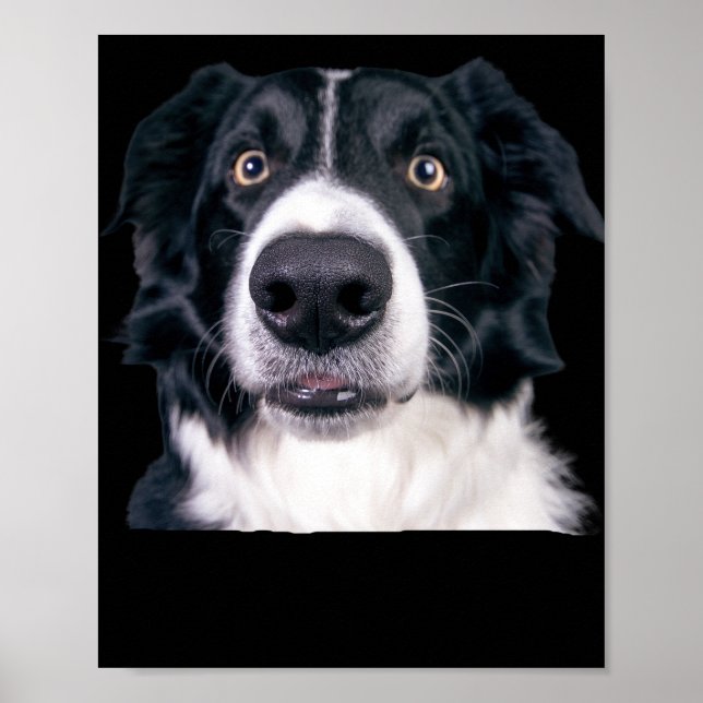 Poster Visage de chien noir et blanc (Devant)