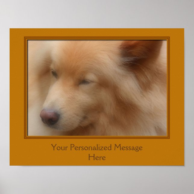 Poster Visage de chien sucré personnalisé (Devant)