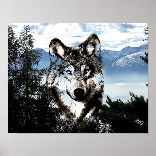 Poster Visage de loup (Devant)