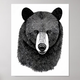 Poster Visage de l'ours noir dessin original de l'art ani