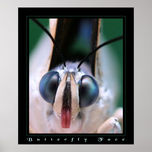 Poster Visage papillon (Devant)
