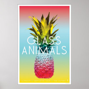 Poster Visite des animaux en verre