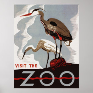 Poster Visitez l'affiche de zoo