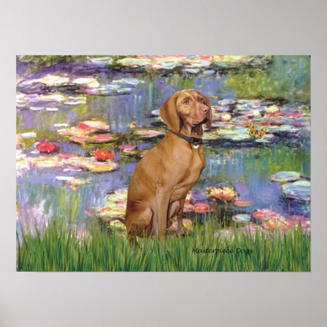 Poster Viszla 2 - Vizsa (Devant)