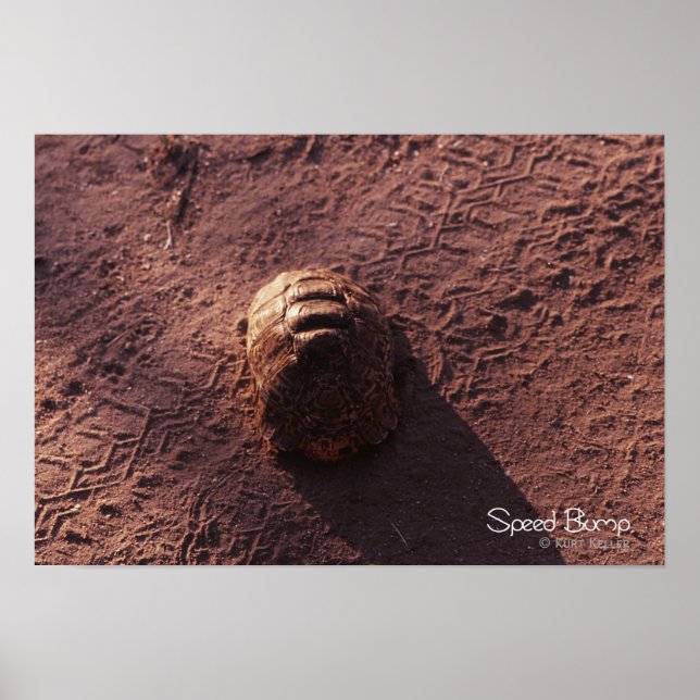 Poster Vitesse (Devant)