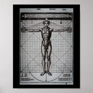 Poster Vitruvian Man (Vitruvius : De architectura)