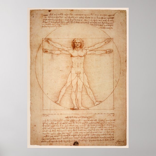 Poster Vitruvian Man von Leonardo da Vinci (Vorne)