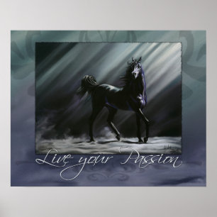 Poster Vivent votre passion
